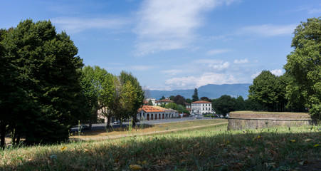 Obraz premium Lucca, Italy