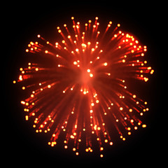 Fototapeta na wymiar Firework | EPS10 Vector