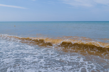 The sea shore at summer Sunny clear day in early summer