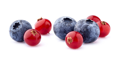 Red currant berry with blueberries on White Background isolated. Ripe berries isolated.