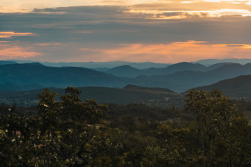 Obraz premium Brazilian Savannah