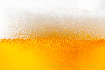 Light Beer with Bubbles and Foam Background on White. Beer Bubbles Texture Close Up