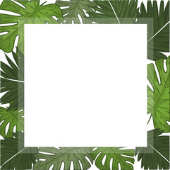 Tropical leaves - vector frame.