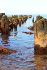 Old moss-covered breakwaters stand in the water