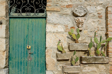 old wooden door and cactuses