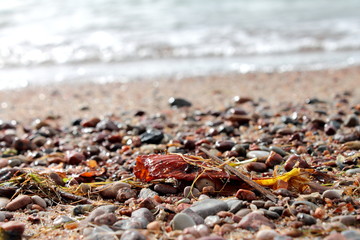 Sand and small pebbles on the beach in drops of water