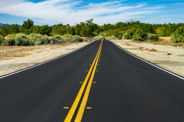 Long road from desert to green trees