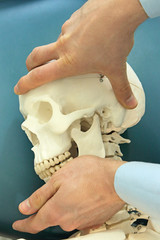 osteopathic techniques on the skull
