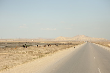 A beautiful photograph of a road in an open area.