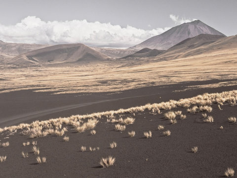 Payunia volcanic region