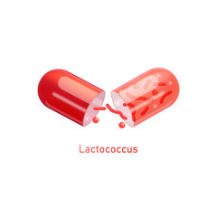Bulgaricus probiotics bacteria in pill realistic vector illustration isolated.