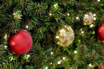 Red ball decorative on Christmas tree for festive and holiday background.