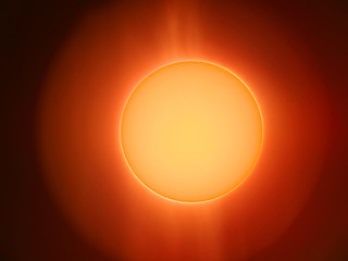 Sole