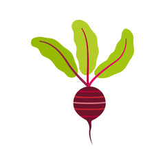 Beet icon. Vector Illustration.