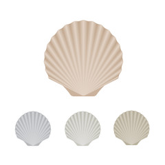 Seashell - set vector icons. 