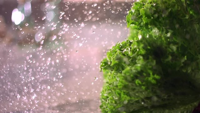 Green lettuce landing gratin counter top with big splash