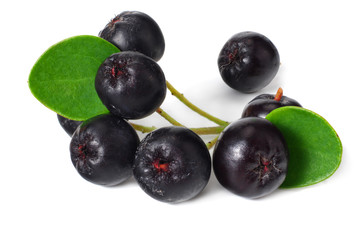 Chokeberry with green leaves isolated on white background. Black aronia