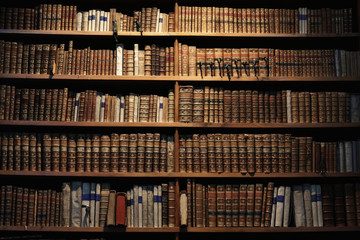 old books on wooden shelf - obrazy, fototapety, plakaty