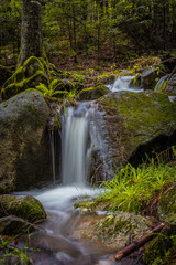 River and forrest rocks with visible movement and blur of the water. Landscape view