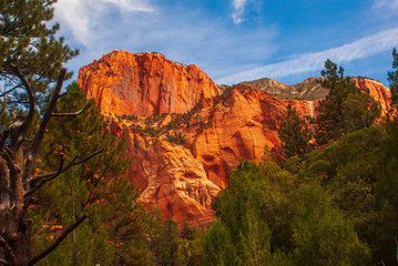 Fototapeta premium Red Sandstone in Kolob Canyon