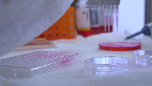 Laboratory research, medical specialist uses multipipets to fill wells of multiwell tray. A multichannel pipette loads biological samples into a microplate for laboratory testing. 4k footage.
