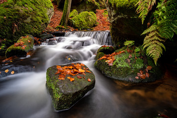 Karlstal / Karlstalschlucht bei Trippstadt im Pfälzerwald, Bachlauf als Langzeitbelichtung