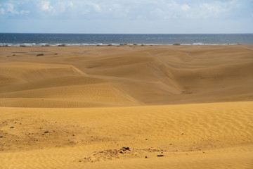Amazing sand dunes during sunny and windy day in the Natural Reserve of Dunes of Maspaloma in Gran Canaria with sand dust and ocean in background, Canary Islands, Spain