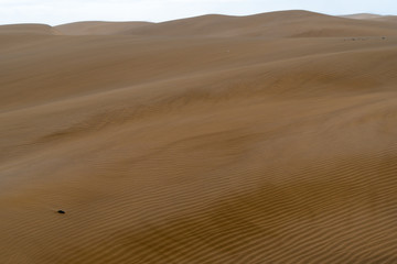 Amazing sand dunes during sunny and windy day in the Natural Reserve of Dunes of Maspaloma in Gran Canaria with sand dust, Canary Islands, Spain