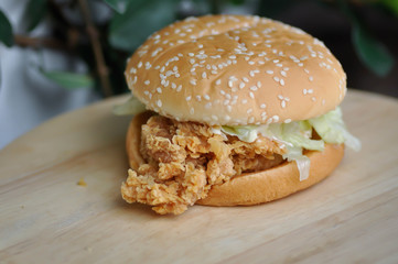 chicken burger or hamburger
