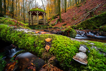 Karlstal / Karlstalschlucht bei Trippstadt im Pfälzerwald, Bachlauf als Langzeitbelichtung