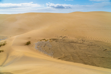Amazing sand dunes during sunny and windy day in the Natural Reserve of Dunes of Maspaloma in Gran Canaria with sand dust, Canary Islands, Spain