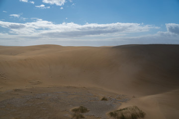 Amazing sand dunes during sunny and windy day in the Natural Reserve of Dunes of Maspaloma in Gran Canaria with sand dust and ocean in background