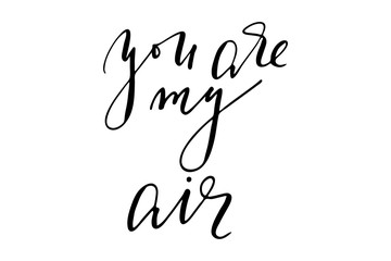 Phrase valentines day you are my air handwritten text vector