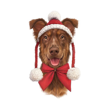 Funny red dog in Christmas hat isolated and red bow tie on white background. Portrait of a cutw dog in Christmas costume. Animal holiday art collection. Christmas and New Year card. Design template.
