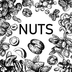 Poster card composition of hand drawn sketch style different kinds of nuts isolated on white background. Vector illustration.