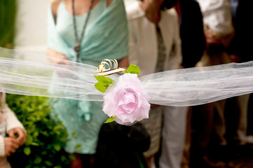 wedding tie, in tull and with pink flower in the center elegant guest wait in the background