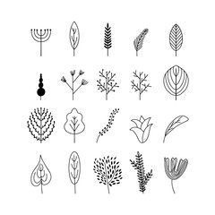 Set of doodles of flowers and grass. Vector illustration