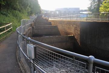 Pitlochry dam 