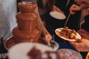 Vibrant Picture of Chocolate Fountain Fontain on a children kids birthday party with a kids playing around and dipping marshmallows and fruits into the fountain