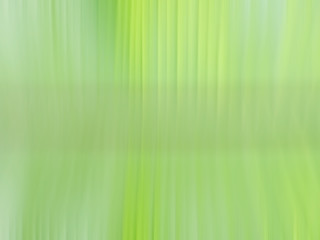 Obraz premium abstract green background, Abstract green banana leaf background, Motion blur background