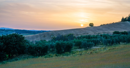 Tuscany, rural landscape. Rolling hills, countryside farm, cypresses trees, green field on warm sunset. Italy, Europe.