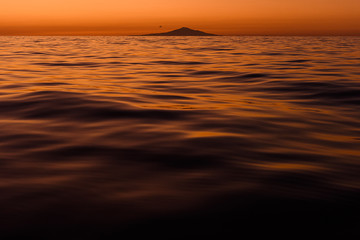 Obraz premium Sea moonlight night