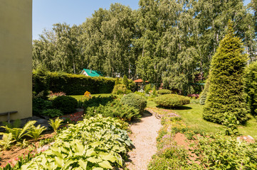 Russia, Moscow- July 06, 2019: green coniferous garden, spruce fir-tree plants by the country house. beautiful landscaping