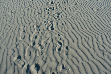 Ripples in the sand.
