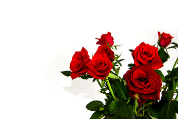 Bouquet of small Dutch red roses in a vase on a white background isolate
