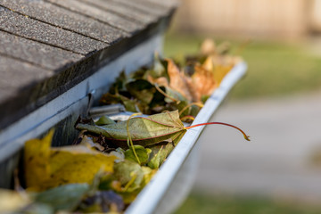 Closeup of house rain gutter clogged with colorful leaves fall from trees in fall. Concept of home...