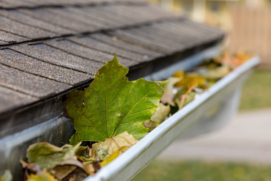 Closeup of house rain gutter clogged with colorful leaves fall from trees in fall. Concept of home maintenance and repair