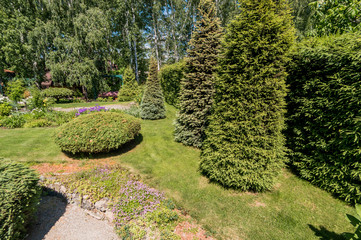 Russia, Moscow- July 06, 2019: green coniferous garden, spruce fir-tree plants by the country house. beautiful landscaping