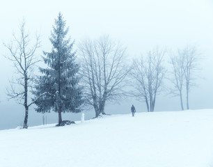 A person standing in snow-covered scenery with trees surrounding minimal composition 