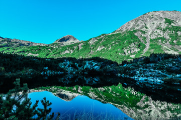 Amazing alpine lake, summer morning. Clear blue sky, green pines, water reflection. Bulgaria, Pirin mountains.